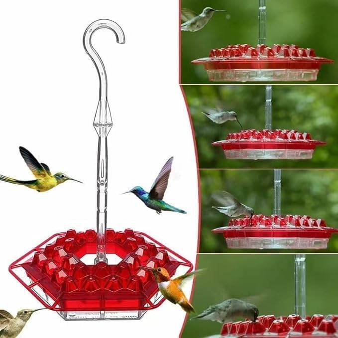 Alimentadores de colibríes fivamo ™