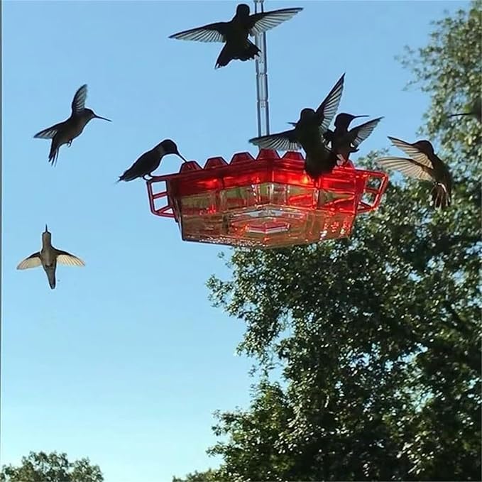 FIVAMO ™ Hummingbird Feeders