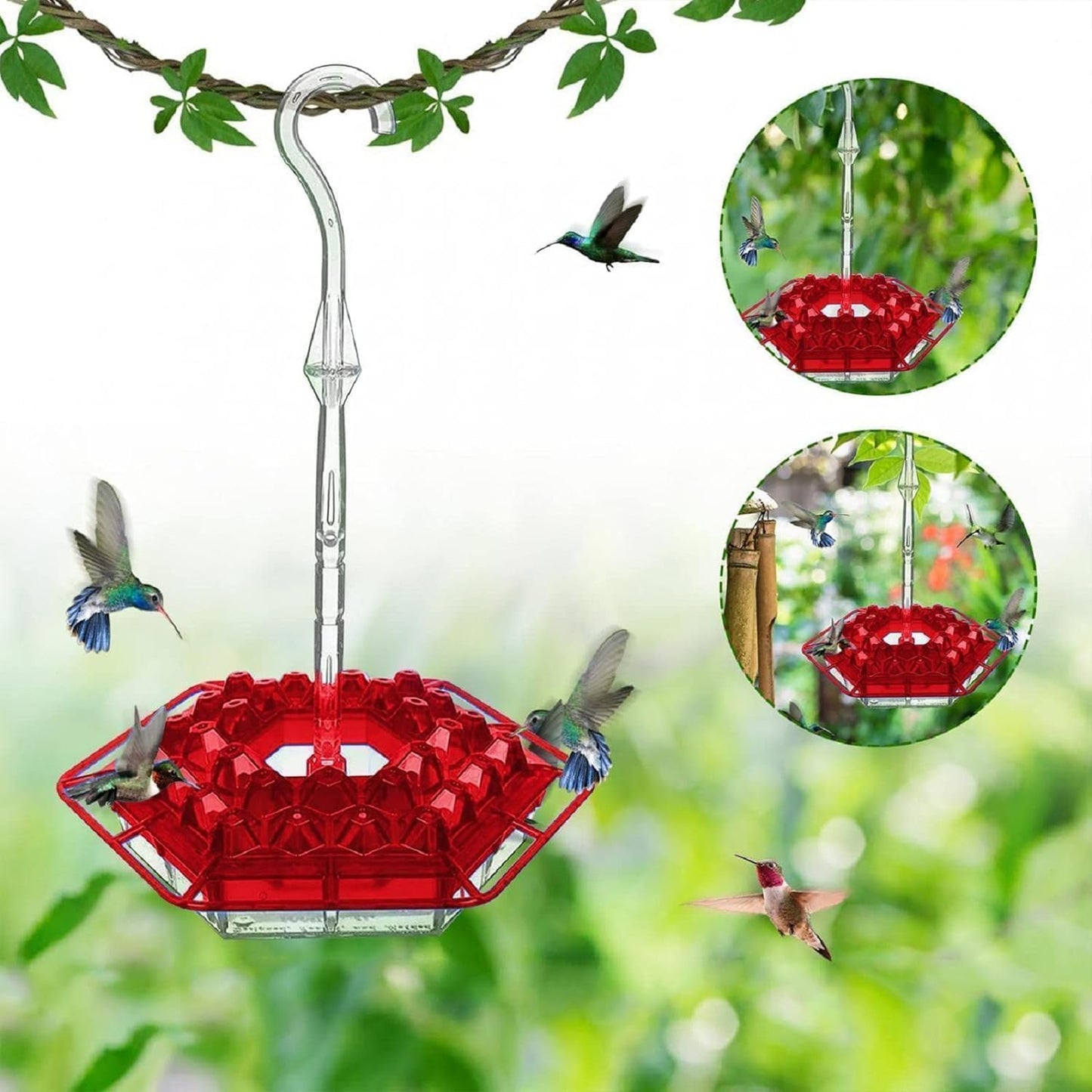 Fivamo ™ Hummingbird Feeders